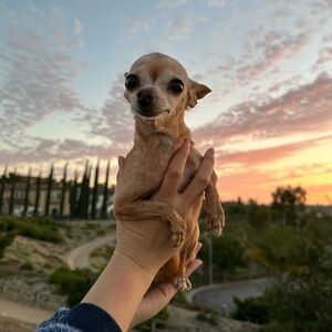 Meet your Posher, Michelle